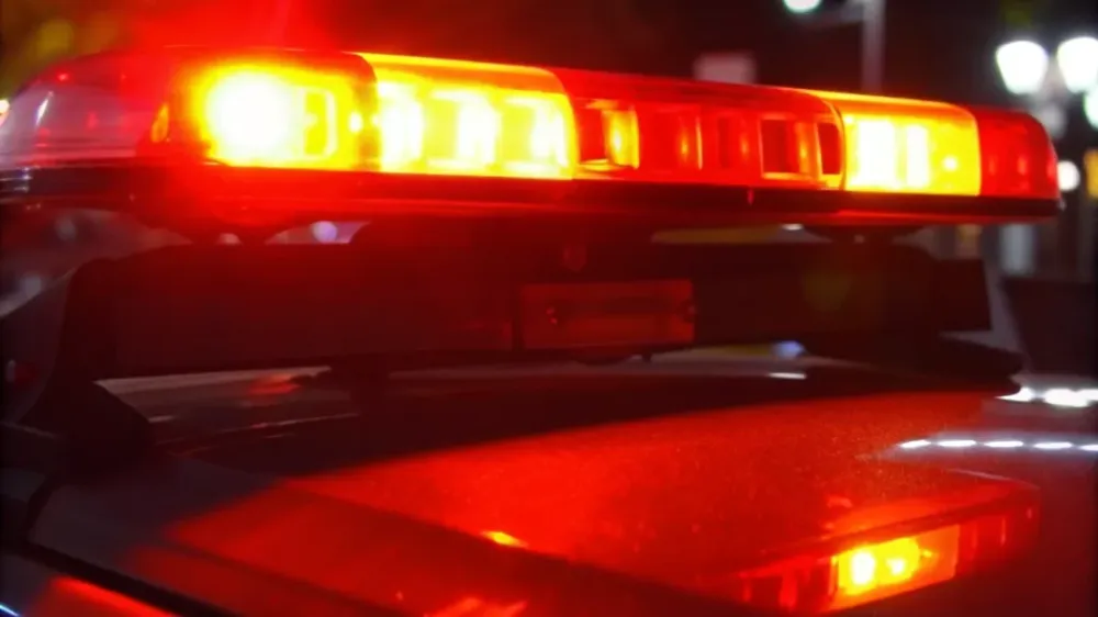 REPRODUÇÃO INTERNET