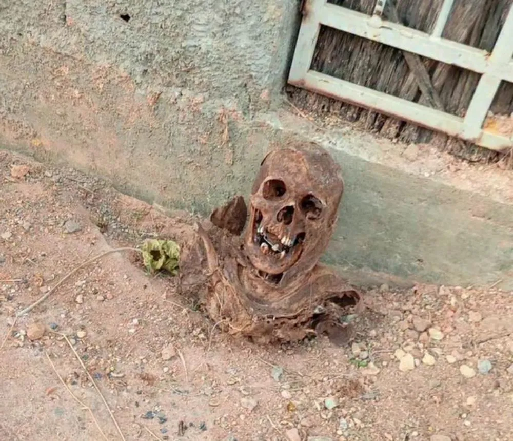 Crânio humano encontrado em rua de Formosa causa apreensão entre moradores